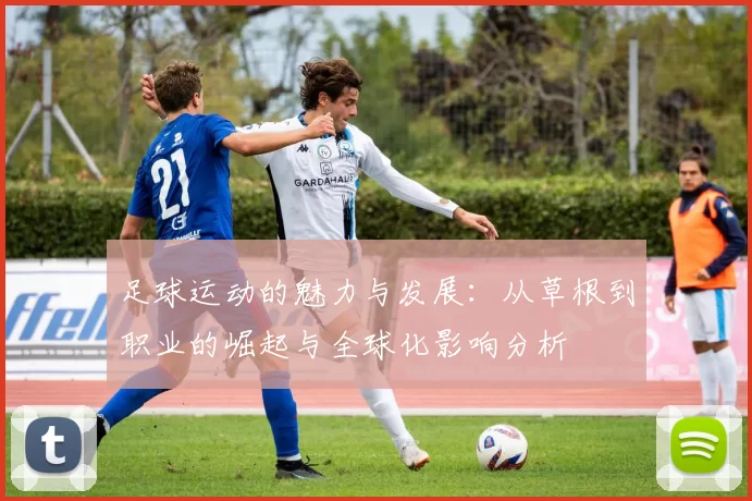 足球运动的魅力与发展：从草根到职业的崛起与全球化影响分析