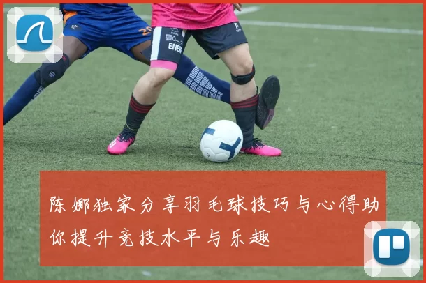 陈娜独家分享羽毛球技巧与心得助你提升竞技水平与乐趣
