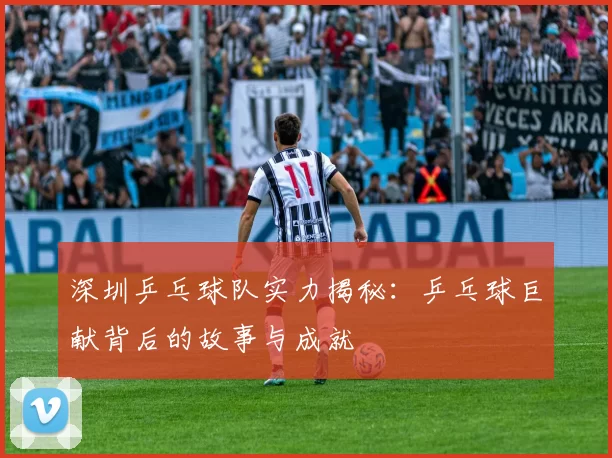 深圳乒乓球队实力揭秘：乒乓球巨献背后的故事与成就
