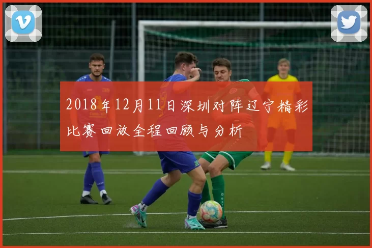 2018年12月11日深圳对阵辽宁精彩比赛回放全程回顾与分析