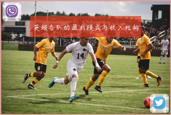 英超各队的盈利模式与收入结构