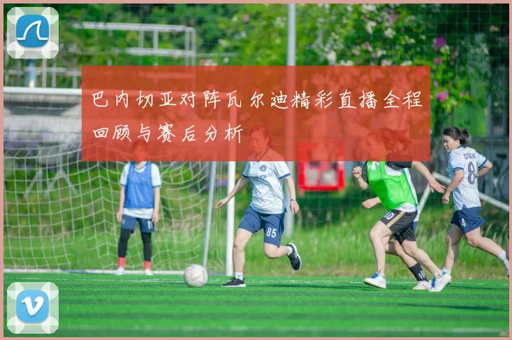 巴内切亚对阵瓦尔迪精彩直播全程回顾与赛后分析