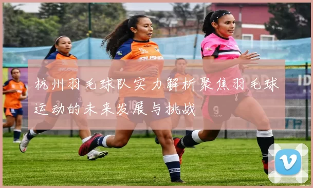 杭州羽毛球队实力解析聚焦羽毛球运动的未来发展与挑战