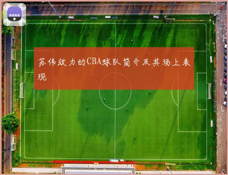 苏伟效力的CBA球队简介及其场上表现