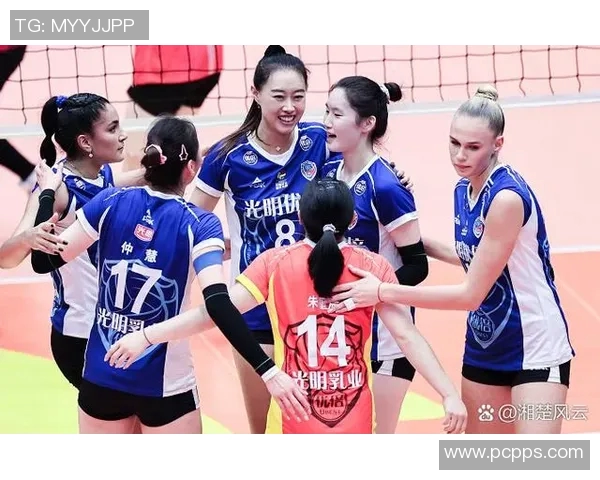 上海排球队在排球比赛中取得新高经验排名引发关注与期待